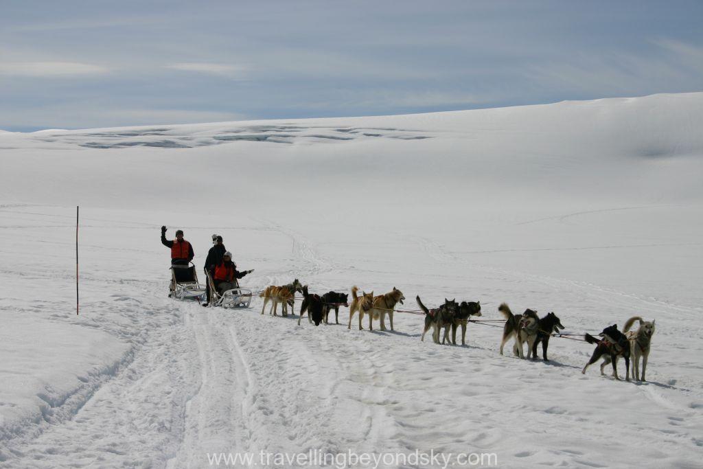 alaska-dog-sled-1