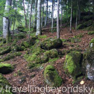 blausee-switzerland-15