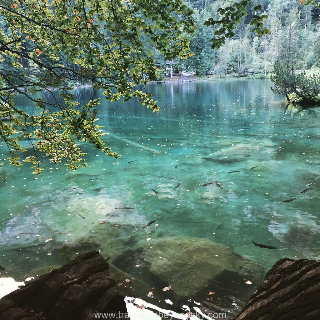 blausee-switzerland-16