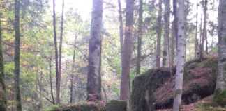 blausee-switzerland-4