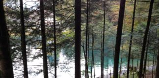 blausee-switzerland-9
