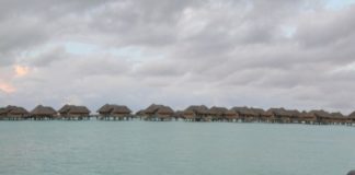 bora-overwater-bungalows-swimming