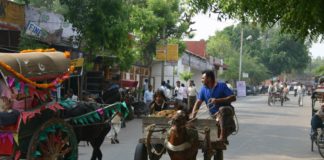 India3