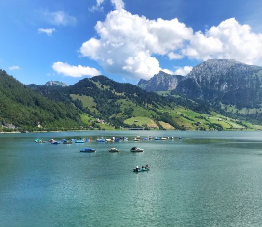 หายเหนื่อยเมื่อได้เห็นวิวนี้ ทะเลสาบ Wägitalersee