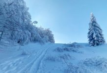 Winter Hike ไม่มีหนาว Balmberg Pass – Weissenstein
