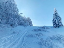 Winter Hike ไม่มีหนาว Balmberg Pass – Weissenstein