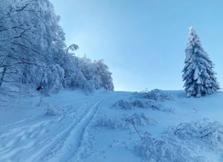 Winter Hike ไม่มีหนาว Balmberg Pass – Weissenstein