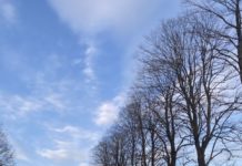 Hisa Franko ร้านอาหาร 2 ดาวมิชลินร้านแรกของ Slovenia