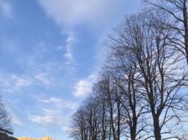 Hisa Franko ร้านอาหาร 2 ดาวมิชลินร้านแรกของ Slovenia