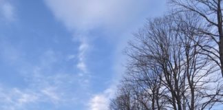 Hisa Franko ร้านอาหาร 2 ดาวมิชลินร้านแรกของ Slovenia