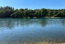 ว่ายน้ำในแม่น้ำ Rhein บนเส้นแบ่งพรมแดนสวิตฯ-เยอรมนี