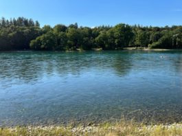 ว่ายน้ำในแม่น้ำ Rhein บนเส้นแบ่งพรมแดนสวิตฯ-เยอรมนี