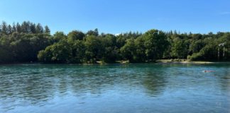 ว่ายน้ำในแม่น้ำ Rhein บนเส้นแบ่งพรมแดนสวิตฯ-เยอรมนี