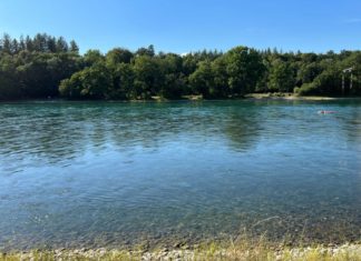 ว่ายน้ำในแม่น้ำ Rhein บนเส้นแบ่งพรมแดนสวิตฯ-เยอรมนี