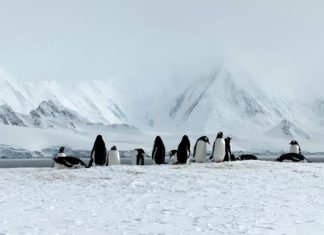 รีวิวทริป 𝔸𝕟𝕥𝕒𝕣𝕔𝕥𝕚𝕔𝕒 – The White Continent ฉบับเต็ม